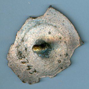 ОСС Наркомсовхозов с док.