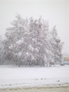 ПРО ГЛАВНОЕ...