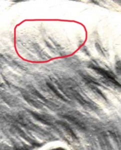 РЕДКИЙ РУБЛЬ Н2 1913 ГОДА (ЭБ) В СОСТОЯНИИ PROOF !