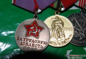 Грудь трудовая доблесть, преобразование нечерноземья, вете..