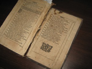 Книга 18 век. БОГОРОДИЦЕ ДЕВО.