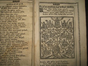 Книга 18 век. БОГОРОДИЦЕ ДЕВО.