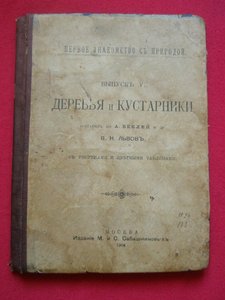 Книга -"Деревья и кустарники."  1904г.