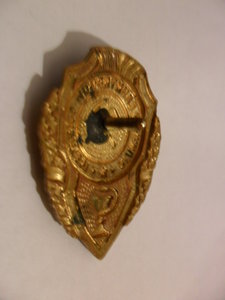 Отличник санитарной службы.