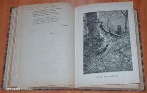 Природа и охота 1892