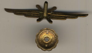 Летчик - крылышки старые.