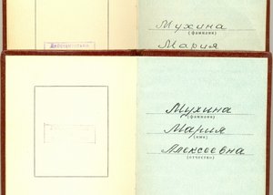 ЗП (2шт) на одной колодке.