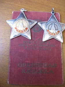 Славы 2 и 3 ст.  на док.