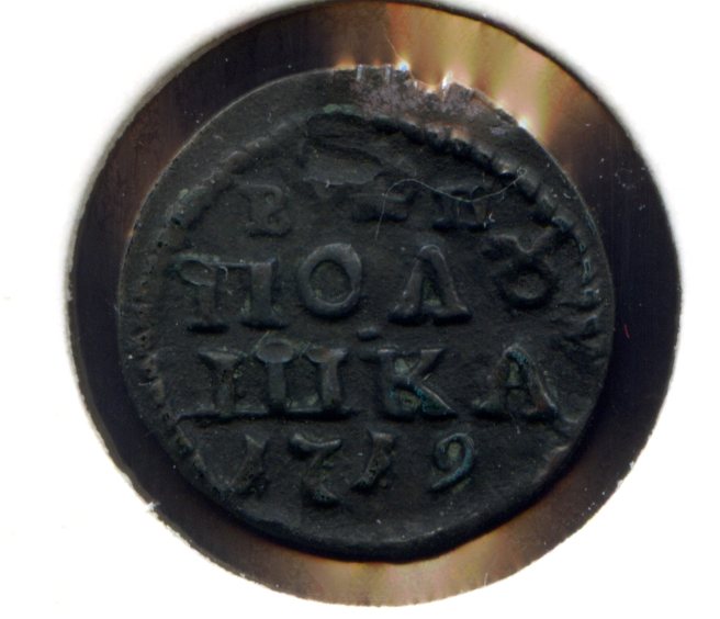 Полушки Петра ВРП 1719 - 1721 есть редкие