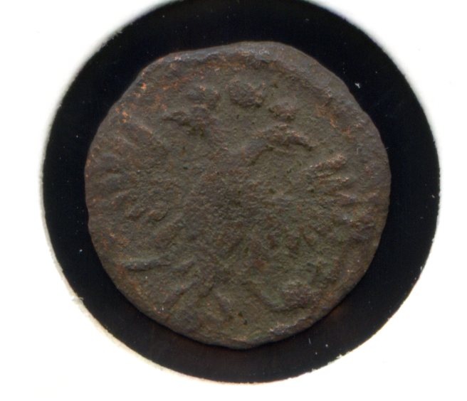 Полушки Петра ВРП 1719 - 1721 есть редкие