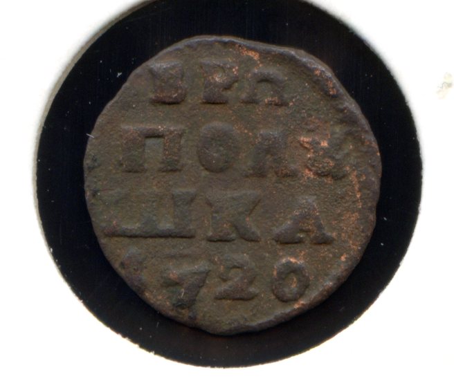 Полушки Петра ВРП 1719 - 1721 есть редкие