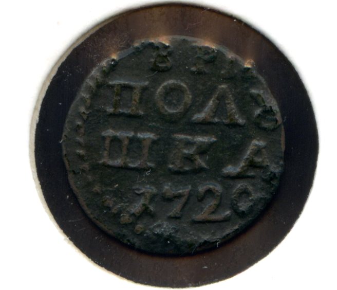 Полушки Петра ВРП 1719 - 1721 есть редкие