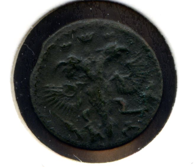 Полушки Петра ВРП 1719 - 1721 есть редкие