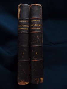 Донъ-Кихотъ. 1881г.