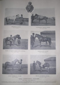 ЛЕТОПИСЪ ВОЙНЫ СЪ ЯПОНІЕЙ, 1905 - 778 страниц!!!!!!!!