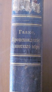 Происхождение животного мира.Гааге.