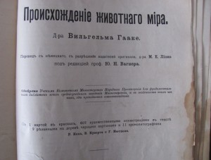 Происхождение животного мира.Гааге.
