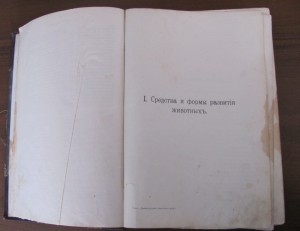 Происхождение животного мира.Гааге.