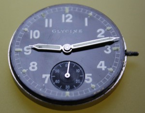 GLYCINE DH