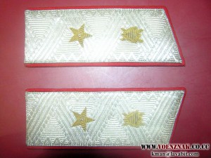 Погоны прокурорские генеральские