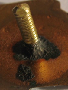 Им.Лесгафта 1956 с альбомом