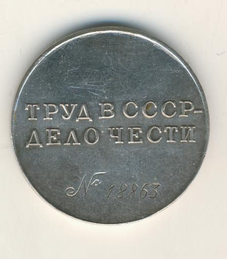 трудовая доблесть №18863