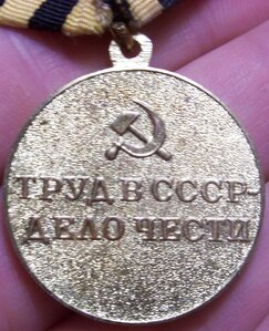 Шашты Донбасса