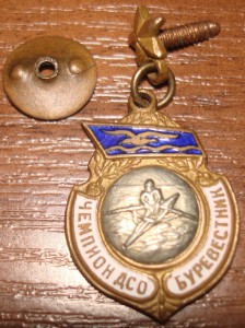 Чемпион ДСО БУРЕВЕСТНИК