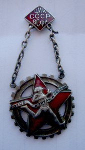 ЦИК СССР ВСФК, серебро.