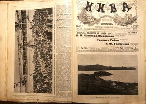 нива за 1904г война