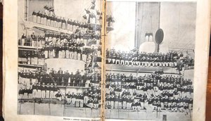 нива за 1904г война