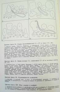 Г.Смит   Драгоценные камни