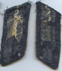 Петлицы шитые карантинной службы