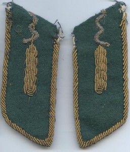 Петлицы шитые карантинной службы