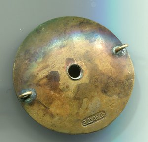 Лесной полк, лесной институт, контрпогон,кокарда.