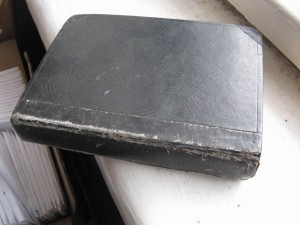 Путешествие пилигрима. 1881г.