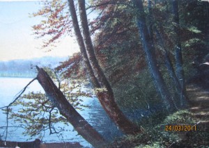 Цв.открытки (пейзажи- Финляндия)