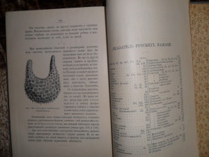 П.Васильковский. Чудеса подводного царства. Состояние!