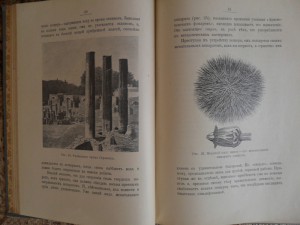 П.Васильковский. Чудеса подводного царства. Состояние!