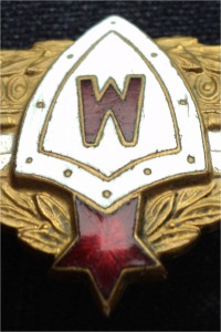 Мастер вождения танков