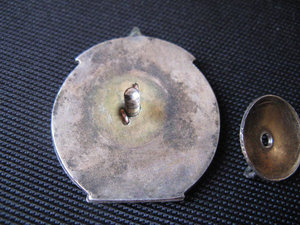 5 лет узбекестана.