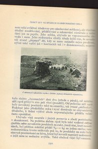 Obrázkové dějiny naší samostatnosti = Чехословацкий легион