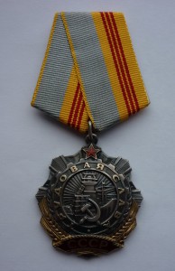 Трудовая Слава 3ст.