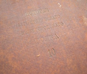 История 44-го Драгунского полка том 10