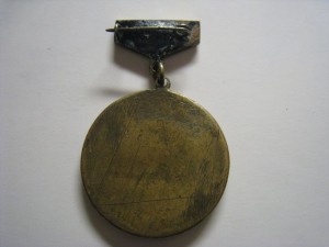 Чемпион северного флота