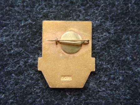 10 лет. Дружинник.