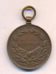 Медаль за храбрость. Австрия