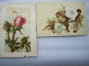 Рекламы, Этикетки, Трактиры и т.д. Абрикосова Эйнемъ  57 шт