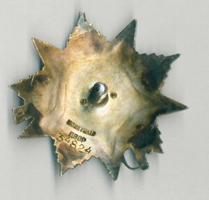 ОВ2 №34824 в суперлюксе