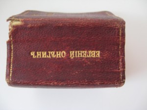 Евгений Онегин